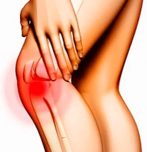 Estructura anatómica de la rodilla.
